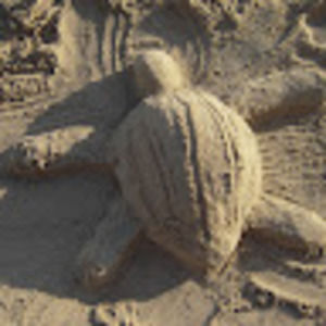 Meet your Posher, Cherie ann